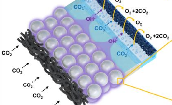 A Bio-Inspired Catalyst for Efficient Chemical Reactions