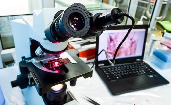 Accelerating Scientific Discovery with AI