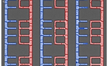 A New Era of Self-Assembling Electronics