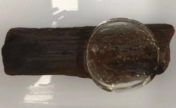 Liquifying Hydrogel Protects Shipwrecked Wood Without Damage