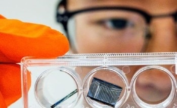 Organic Solar Cells Pave the Way for a Sustainable Energy Landscape
