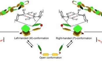 Understanding the Mechanism of Self-Assembly in Polymers