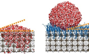 The Potential of MOF-Based Materials for Water Repellency