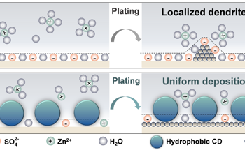 Boosting Zinc-Ion Batteries with Carbon Dots