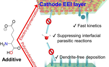Glutamate Additive Enables Robust Interphases for Aqueous Zinc Batteries