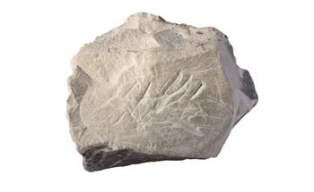 Converting 2D Kaolinite into 3D Amorphous Cement