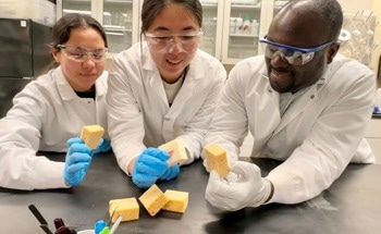 New Eco-Friendly Material Could Replace Petroleum-Based Plastics