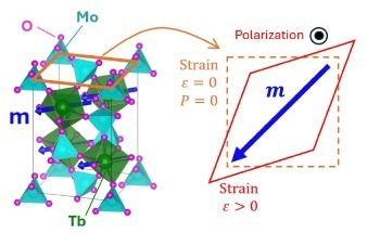 New Multiferroic Material Opens Doors for Advanced Devices