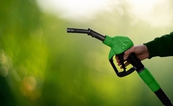 CaO/ZnO Composite Catalysts for Biodiesel Production from Soybean Oil