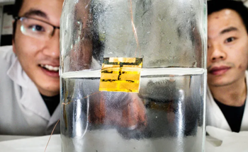 Water-Based Recycling Method for Sustainable Solar Cell Production