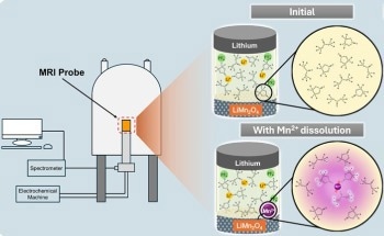 MRI Technique Tracks Battery Degradation in Real Time