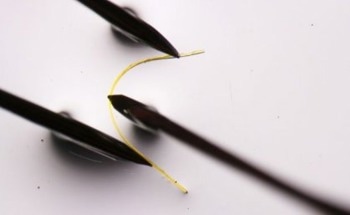 Flexible Crystals Reveal Secrets of Elasticity