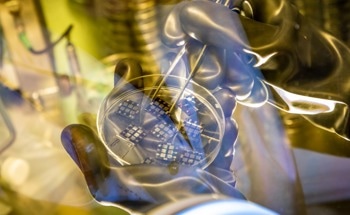 Machine Learning Deciphers Heat Conduction via Phonon Tunneling