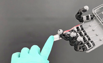Leaf Skeleton Templates Enable High-Performance Flexible Electronics
