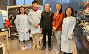 Corn Protein Boosts Lithium-Sulfur Battery Performance
