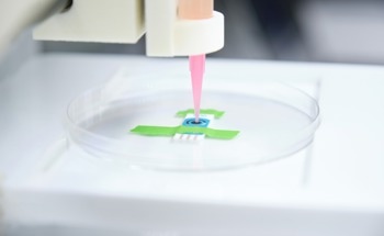 Nanostructured Alginate-Based Bioprinted Patches