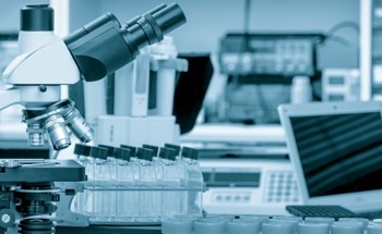 Smart Coatings: Thermally Responsive Polymer Brushes for Advanced Applications