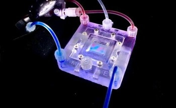 3D-Printed Organic Tissue Models Mimic Living Organs