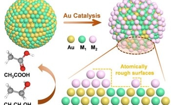Novel Technique to Improve Electrocatalysis for Direct Alcohol Fuel Cells