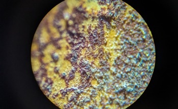 Smart Coating Design: Using Machine Learning to Predict Durability