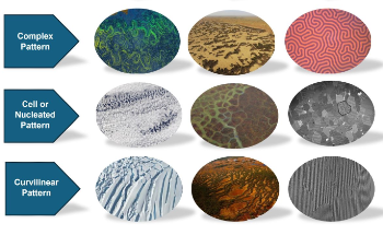 New Research Uncovers Why Some Ecosystems Collapse Suddenly—And Others Don’t