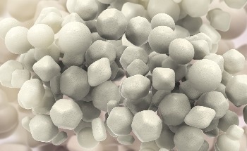 New Discovery Reveals Correlation Between Latitude and Lignin Expression