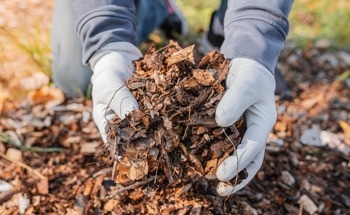 Processing Lignin Differently Could Dramatically Change its Electrical Properties