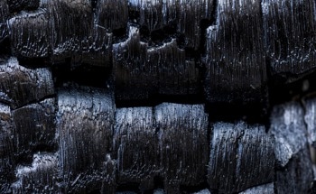 Transforming Bio-Waste into a Valuable Resource