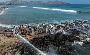 Review: How Carbon-Based Materials Transform Pollution Remediation