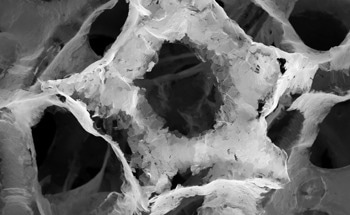 Unconventional Composition Accelerates Thermoelectric Response in rGO Films