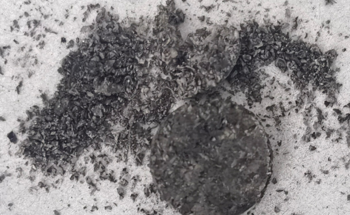 Shell Shock! Peanut Waste Can be Turned into High-Quality Futuristic Graphene