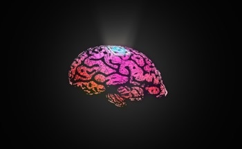 Bioinspired Polymer Coating Improves Neural Electrode Signals