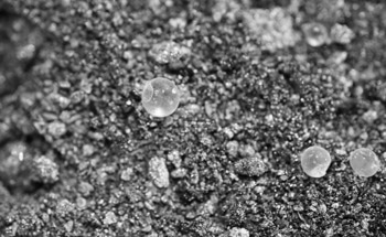 Carbon Contamination Found To Shape Contact Electrification In Oxides