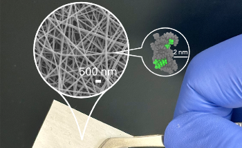 Bio-Based Polymer Offers a Sustainable Solution to ‘Forever Chemical’ Cleanup