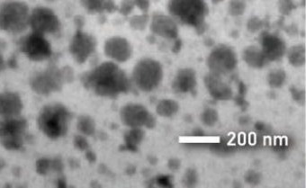 New Insights Give Copper Catalysts a Boost as a Cheaper Alternative to Platinum