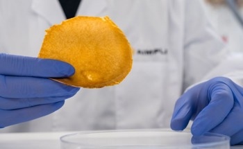 AIMPLAS is Leading the VEGANCELIO Project to Transform Organic Waste into Vegan Leather and Cosmetic Microcapsules