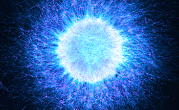 EVIDENT Announces 6th Annual Image of the Year Award Winners