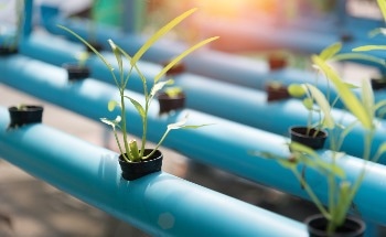 Jenike Granted Patent for Jen-Zero™ Biomass Feeding Technology