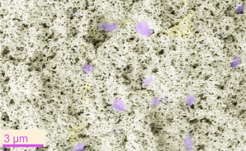 New “Permanently Wet” Coating Method Could Transform Wastewater Treatment by Helping Bacteria Survive Better
