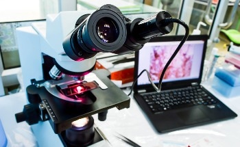 Tescan Joins Shimadzu Group to Accelerate Innovation and Deliver Greater Value to Customers
