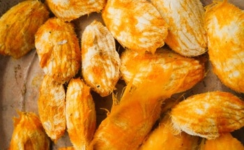 Mango Kernels and Eggshells Create Flexible Biodegradable Films With Packaging Potential