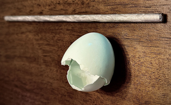 Researchers Make Stronger, Lighter Metals Using Eggshells