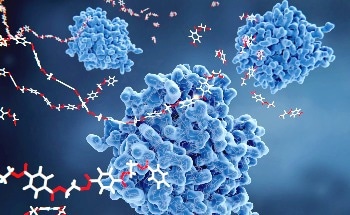 Sustainable Bio-Based Composites Combine Lightweight Strength with Electromagnetic Attenuation