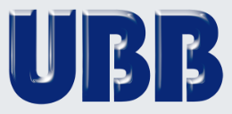 United Bright Bar Co. Ltd.
