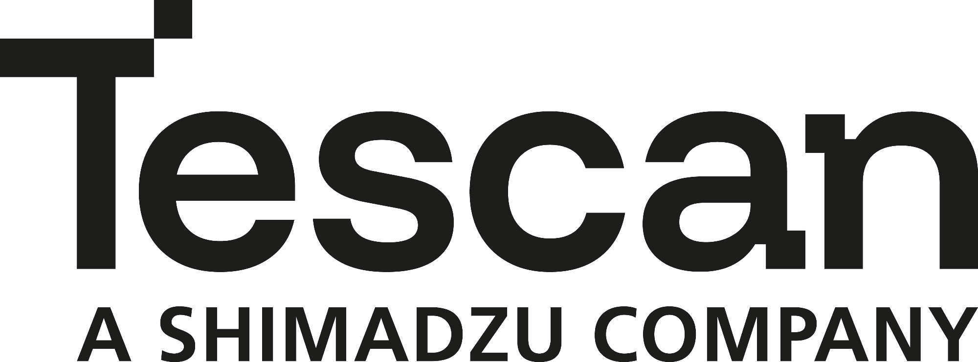 Tescan Group logo.
