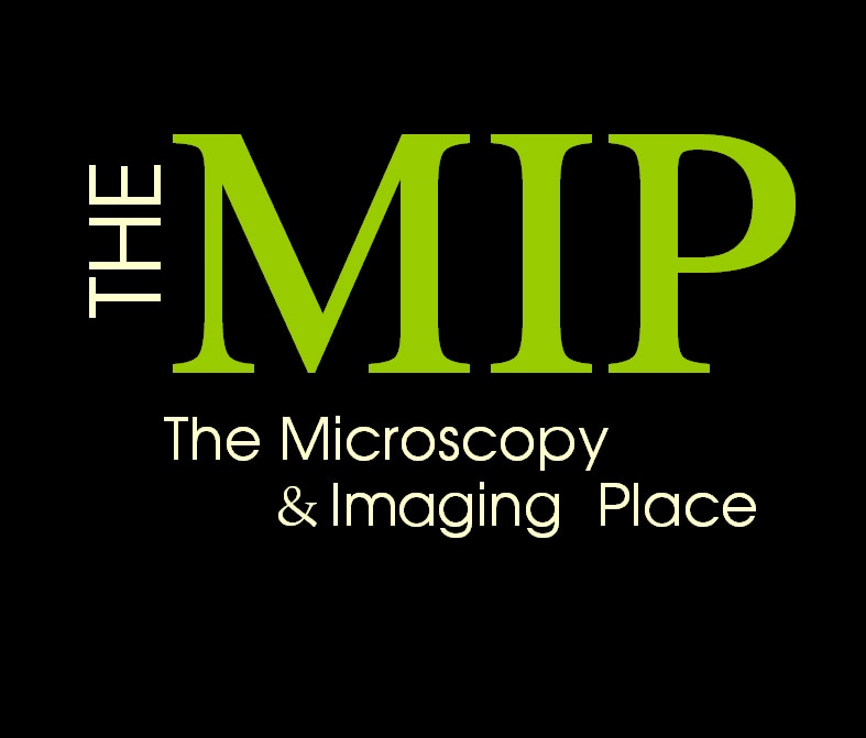 The MIP (The Microscopy & Imaging Place, Inc.)