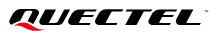 Quectel Wireless Solutions Co., Ltd.