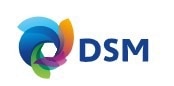 DSM