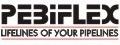 Precision Expansion Bellows Industries (PEBIFLEX)