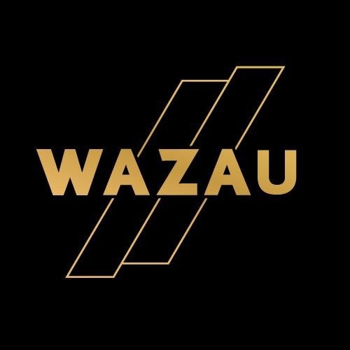 Dr.-Ing. Georg Wazau Mess- und Pruefsysteme GmbH